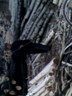 Dһ cɷŴ