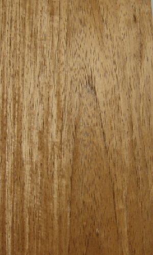 SľƤ(ɽy)mangris(c)