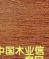 ̩ԔB