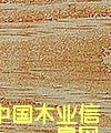 鲵ԔB
