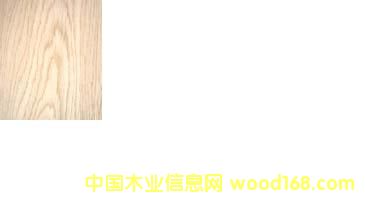 c鿴Chinese oak(crown cut)ԔY