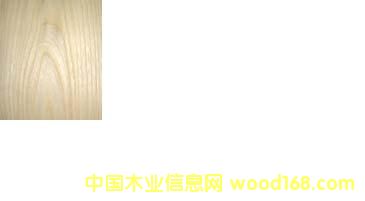 c鿴ElmԔY
