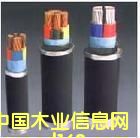 c鿴19ŴDƬ