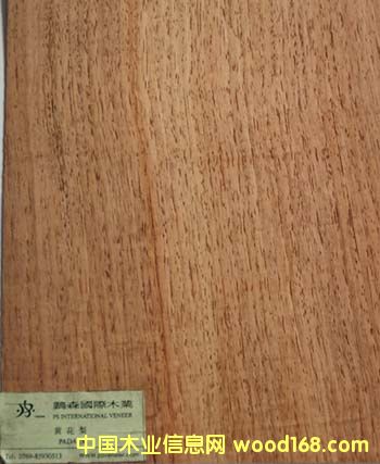 SľƤ(ֱy)mangris(Q)