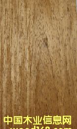 SľƤ(ɽy)mangris(c)