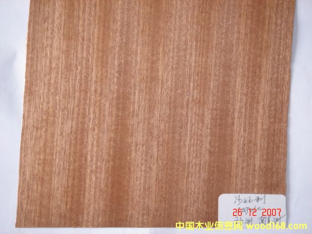 ɳ