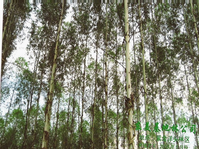 c鿴u˵ŴDƬ