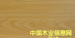 c鿴ͺLF0303ԔY