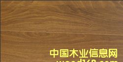 c鿴ͺLF0858ԔY