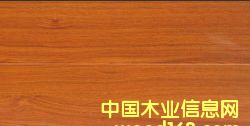 c鿴ͺϷmLF0101ԔY