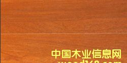 c鿴ͺϵԔY