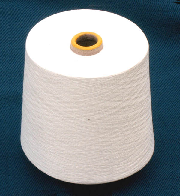 cotton yarnԔB