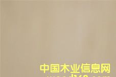c鿴maranti plywoodԔY