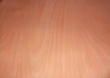 c鿴1.5cmľŴDƬ