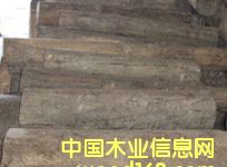 c鿴4ŴDƬ