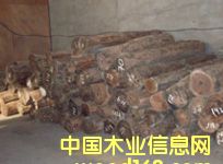 c鿴6ŴDƬ