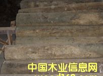 c鿴1ŴDƬ