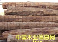 c鿴5ŴDƬ