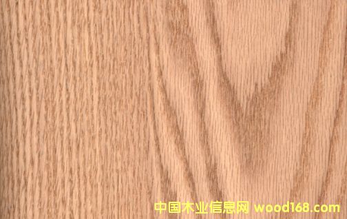 c鿴10.tŴDƬ