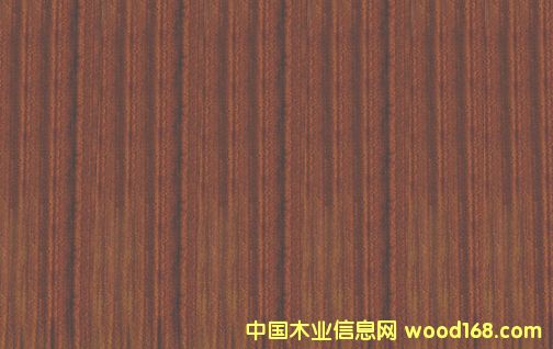 c鿴6ŴDƬ