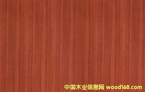 c鿴4ŴDƬ