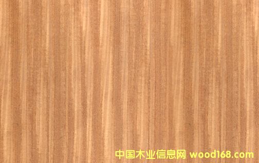 c鿴7ŴDƬ