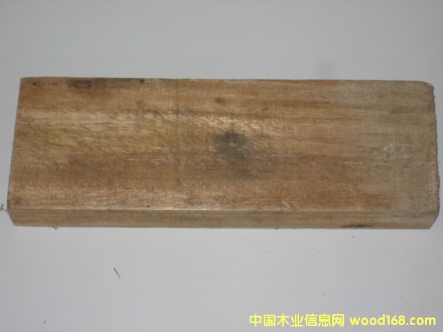 ףFALCATA