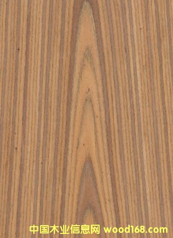 K.Y.Teak#301