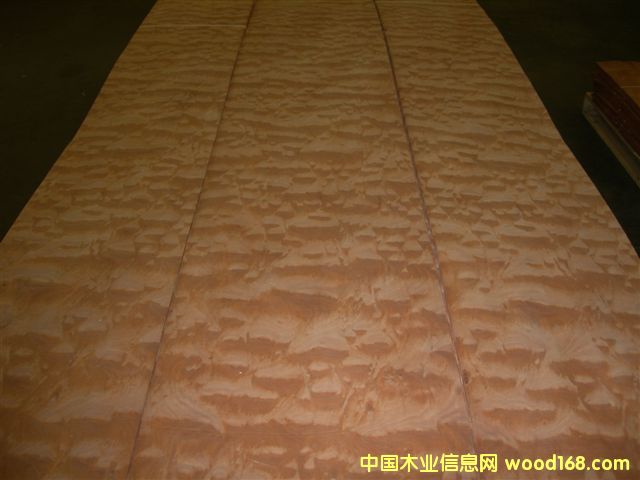 yy