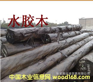 ˮ ˮzľԭľ  ľ GUW / EUG