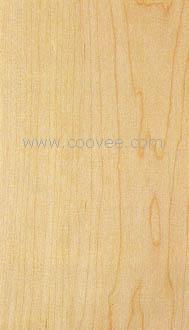 Hard Maple(ӲǗľԔB