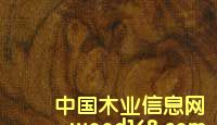 c鿴ںҷŴDƬ
