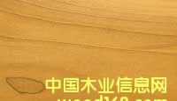 c鿴Z鱣SŴDƬ