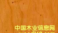 c鿴ľŴDƬ