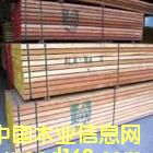 [] ľľľľƷ