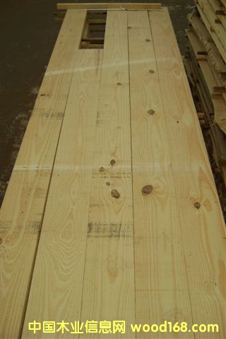 100%FSCJC Taeda Pine ()