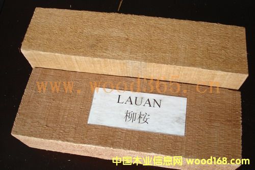 柳桉木的詳細介紹