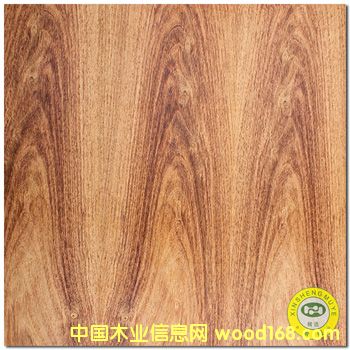 VʢȻSľɽyԭľľƤ-N