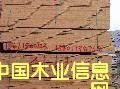 鐵杉的詳細介紹