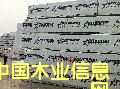 鐵杉的詳細介紹