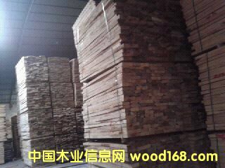 樺木的詳細介紹