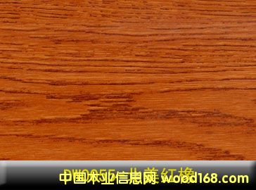 紅橡的詳細介紹