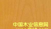 赤楊的詳細介紹