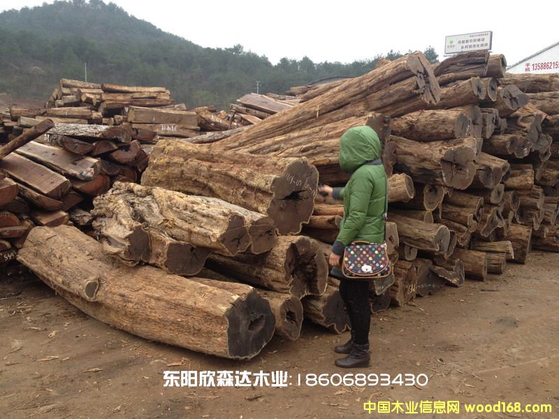 Ϲ̴(|ǺS̴,ľ,̴)130226-9