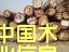 紅樺的詳細介紹
