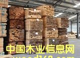 漆木的詳細介紹