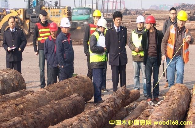 h̫ƽľęz־L̫}Mԭľ͙z