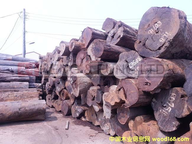 所羅門黑紫檀原木