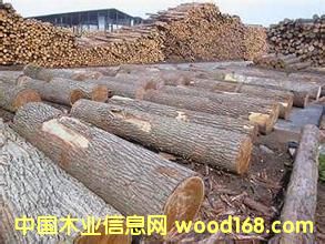 楸木的詳細介紹