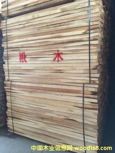 楸木的詳細介紹